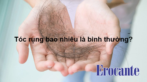 tóc rụng bao nhiêu là bình thường