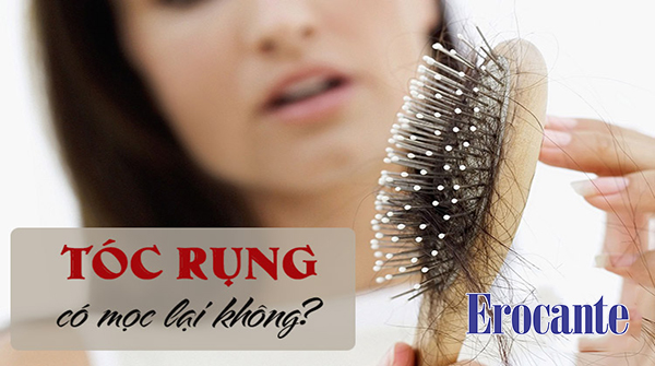 Tóc rụng nhiều có mọc lại không