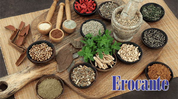 Thuốc nam chống rụng tóc