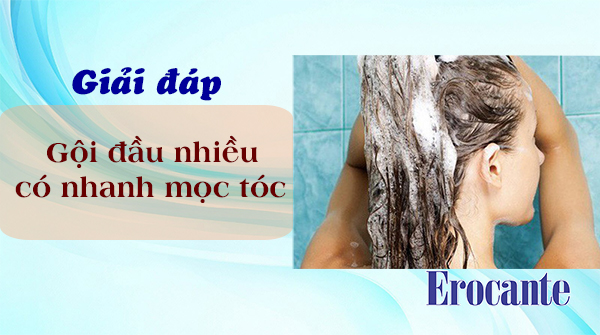 Gội đầu nhiều tóc mọc nhanh không
