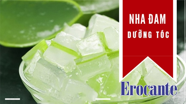 Nha đam dưỡng tóc