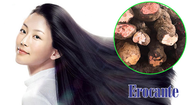 Uống hà thủ ô dỏ bao lâu thì đen tóc