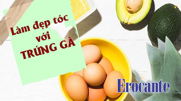 Làm đẹp tóc với trứng gà