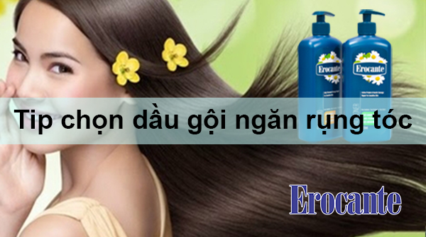 Cách chọn dầu gội ngăn rụng tóc
