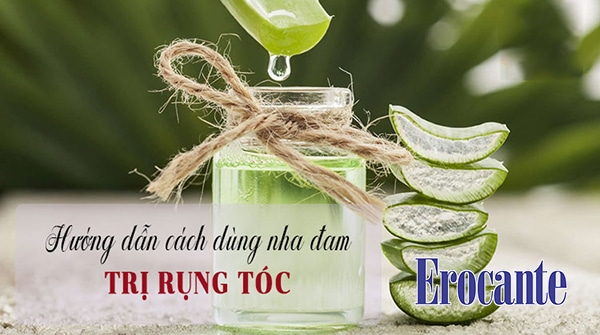 Cách trị rụng tóc với nha đam