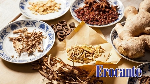 Bài thuốc Đông y chữa rụng tóc