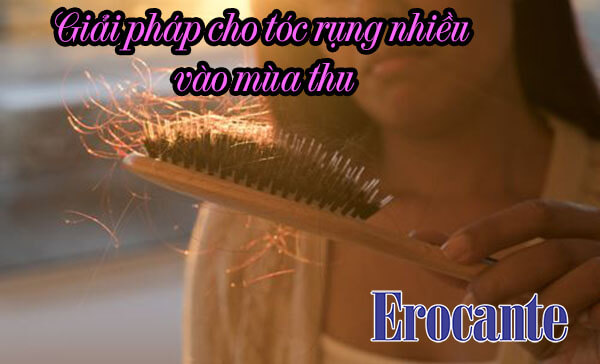 Tóc rụng nhiều vào mùa thu