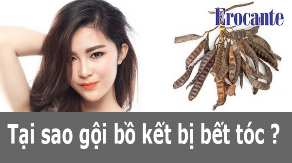 Tại sao gội bồ kết bị bết tóc