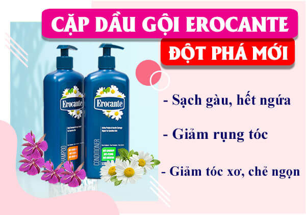 Dầu gội xả Erocante